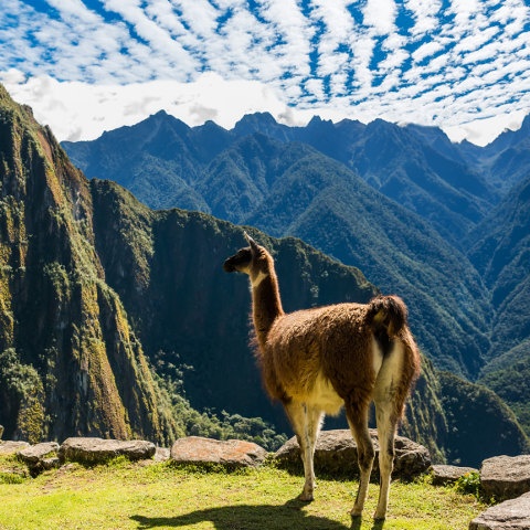 PERU - Körutazás az inkák birodalmában