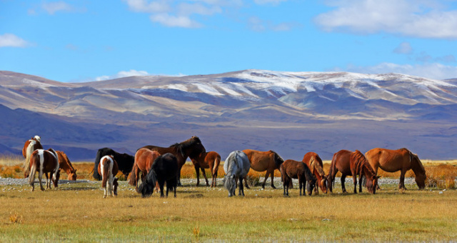 Mongólia és a híres Naadam fesztivál - Csoportos körutazás