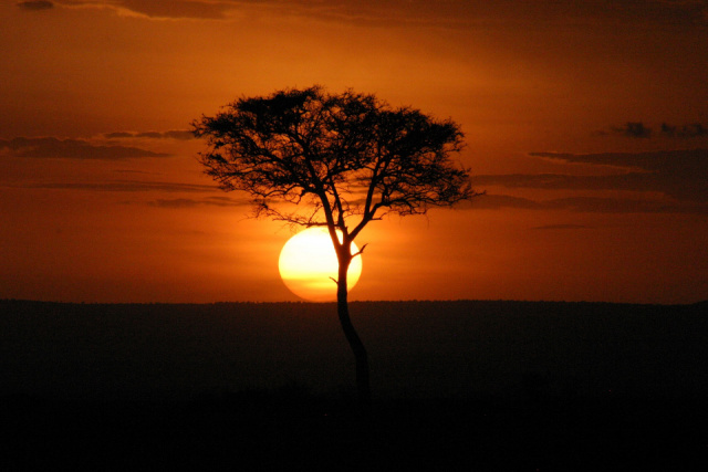 KENYA – Szafari körutazás tengerparti üdüléssel Mombasaban, a Diani tengerparton / 14 nap-13 éj