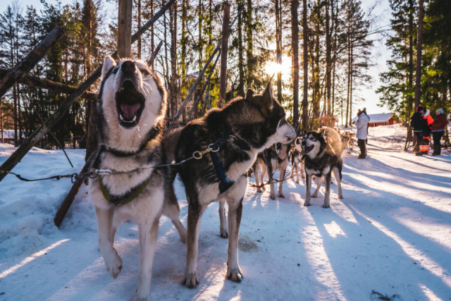 Finnország - Lappföldi kalandok a Mikulásnál
