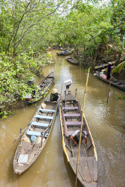 Mekong Delta (4)