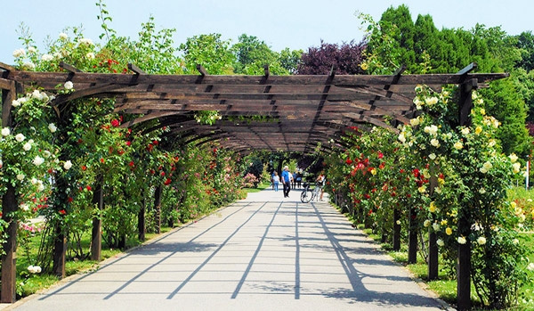 Rózsafesztivál Baden bei Wienben és a Laxenburgi Kastélypark