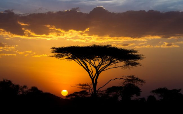Szafari Észak-Tanzániában a nagy állatvándorlás idején
és nyaralás Zanzibáron- 2024.08.18-29.