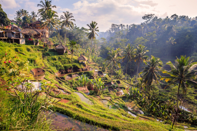 Indonézia - Tengerparti nyaralás és kultúra Balin - Kuta, Ubud ***+