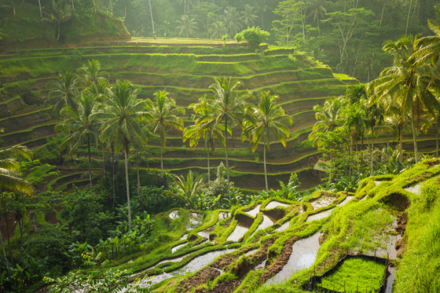 Hét nap két szigeten – Bali és Lombok felfedezése