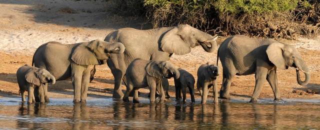 
Dél-Afrika-Mozambik-Szváziföld-Lesotho-Zimbabwe-Botswana-Zambia
