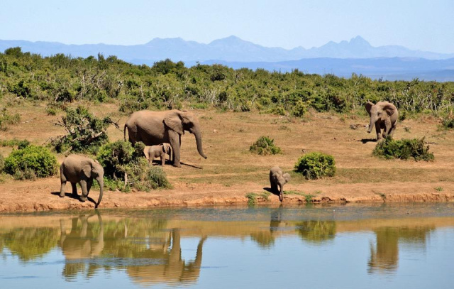 
AZ IGAZI DÉL-AFRIKA - VIKTÓRIA-VÍZESÉS ÉS A CHOBE NEMZETI PARK
