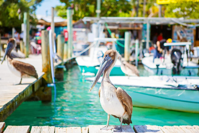 
FLORIDA - BAHAMÁK
