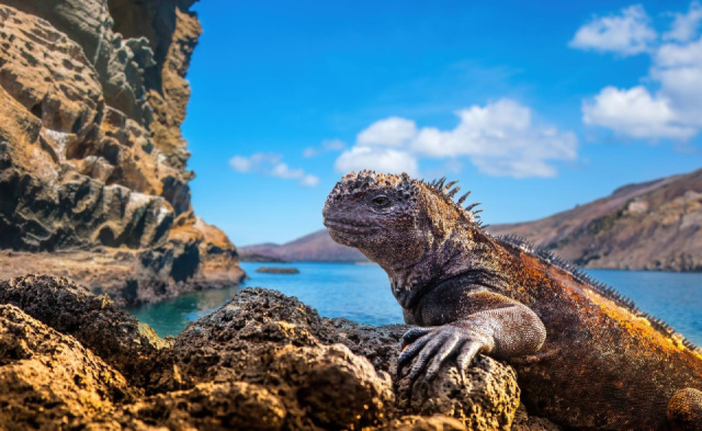 
PANAMA – KOLUMBIA – ECUADOR ÉS A GALAPAGOS-SZIGETEK
