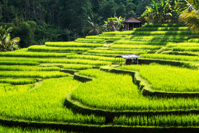 Indonézia - Tengerparti nyaralás és kultúra Balin - Benoa, Ubud ****+