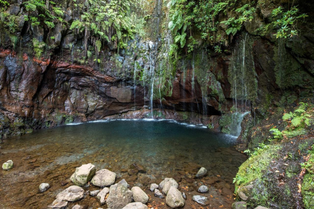 
MADEIRA REPÜLŐVEL - Az Atlanti-óceán úszó Virágos Kertje
