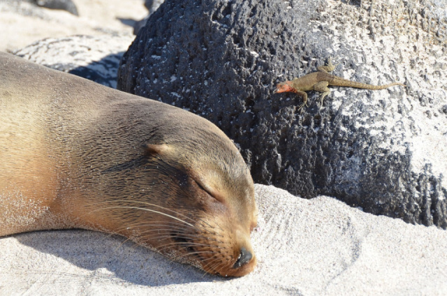 
Kolumbia - Ecuador - Galápagos-szigetek Nagykörút
