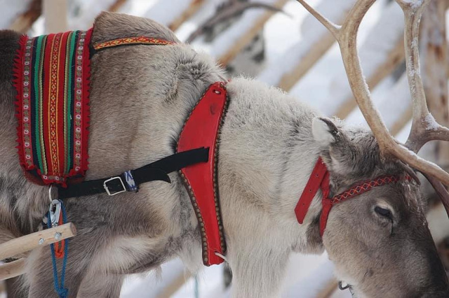 
LAPPFÖLD ÉS AZ ÉSZAKI-FOK A HÓ BIRODALMÁBAN - Európa legészakibb pontján, irány a Nordkapp és az áhított északi fény birodalma!
