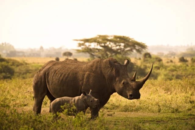 
Kenya – Tanzánia – Zanzibár
