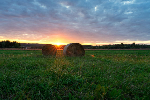 
ŐRSÉGI TÁJAKON
