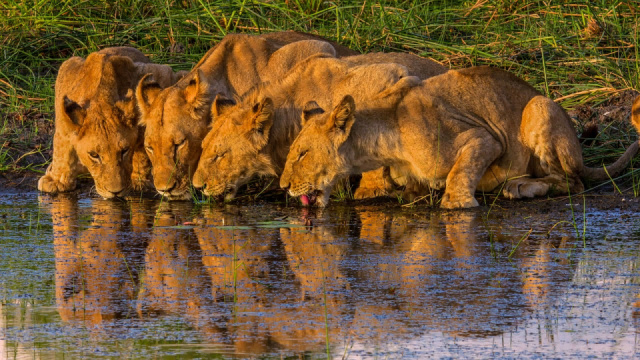 
Namíbia-Botswana-Zimbabwe
