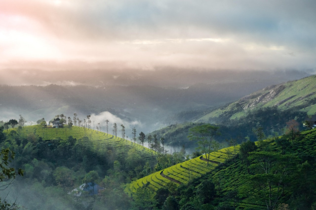 
Dél-India és Kerala

