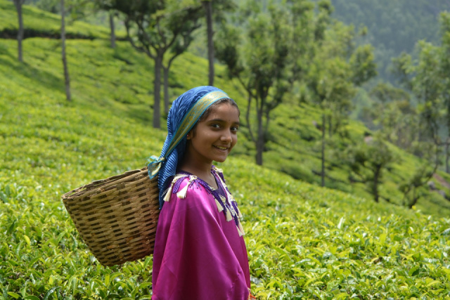 
Dél-India és Kerala
