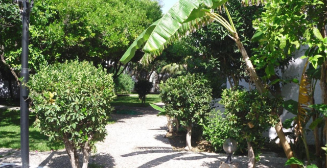
Oasis Bungalows
