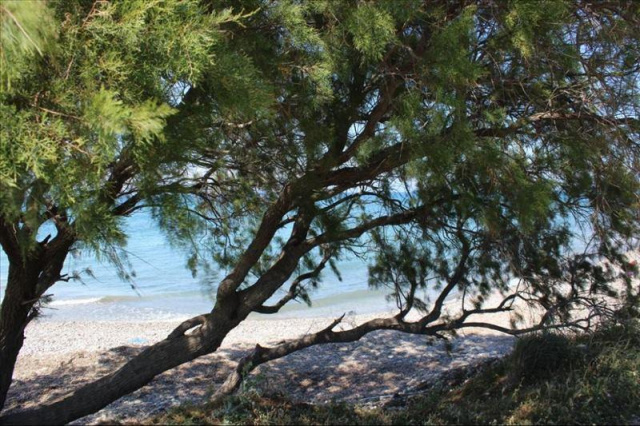 
Asterias Bay Hotel
