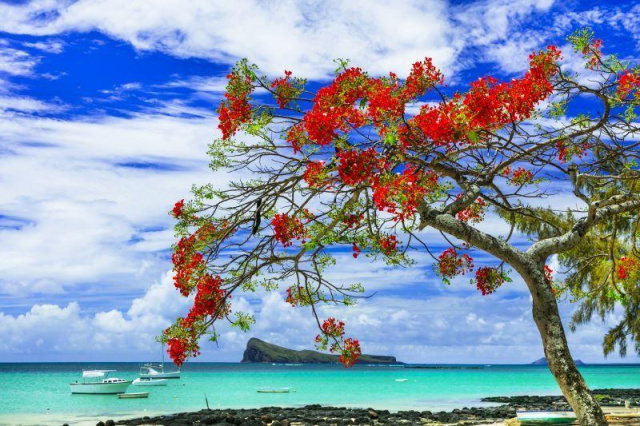 
Mesebeli Indiai-óceán: Mauritius és Rodrigues - Kiscsoportos utazás szigettúrákkal, nyaralással
