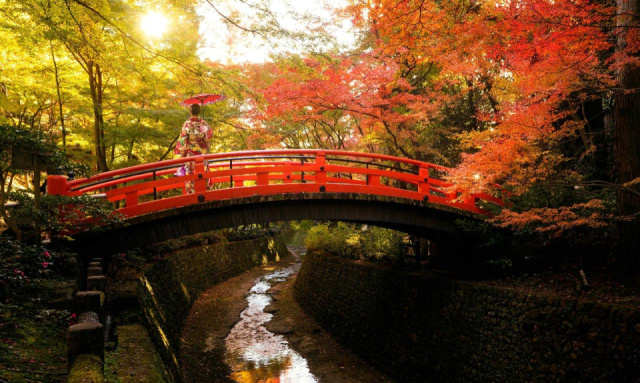 
JAPÁN HÚSVÉTKOR
