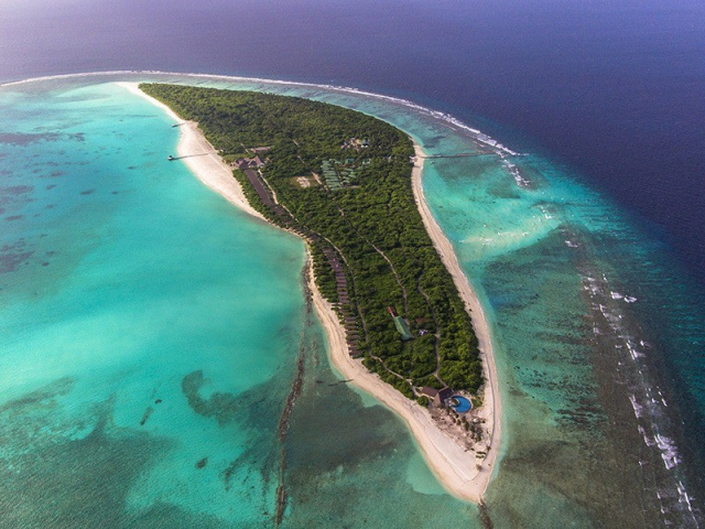 Maldív-szigetek / Hondaafushi Island Resort****