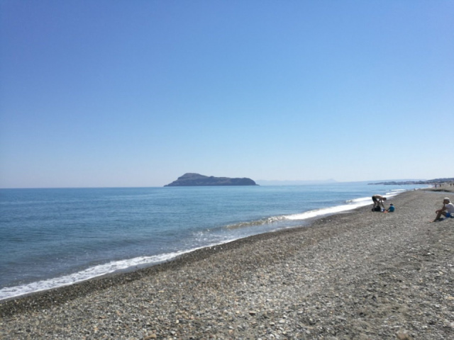 
Venus Beach
