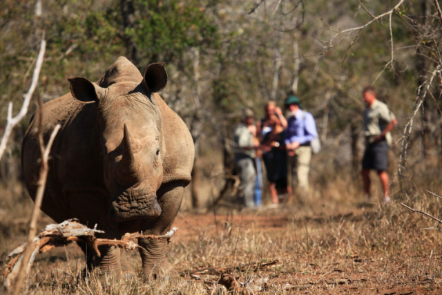Dél-Afrika - Fokváros és „Big5” élménytúra csoportos körutazás magyar idegenvezetővel