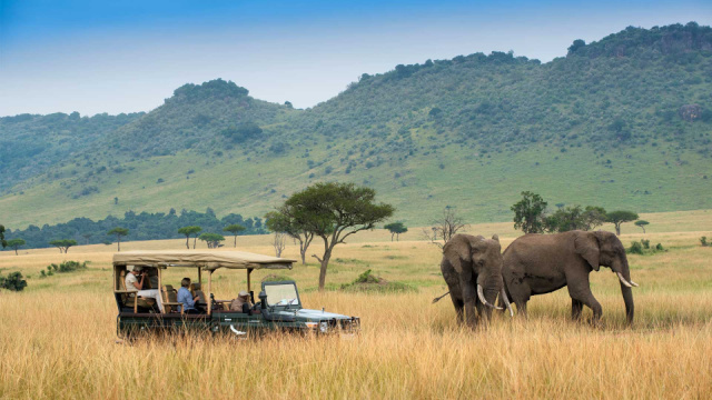 Szafari (2+5) - MASAI MARA