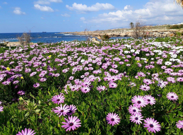 NYÁRBÚCSÚZTATÓ CIPRUS - Ízharmónia, csodaszép tengerpartok, élő hagyományok és kultúra!