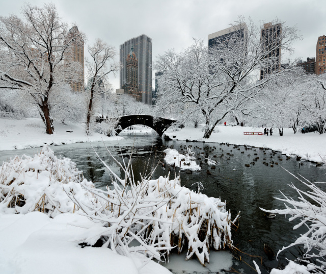 NEW YORK ADVENTKOR – MERT KARÁCSONYI FÉNYEKBEN LÁTNI KELL! - Egy hét, ami örökre velünk marad: New York ünnepi fényei és ikonikus