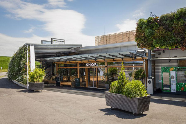 
Graz, Szállás nélkül
