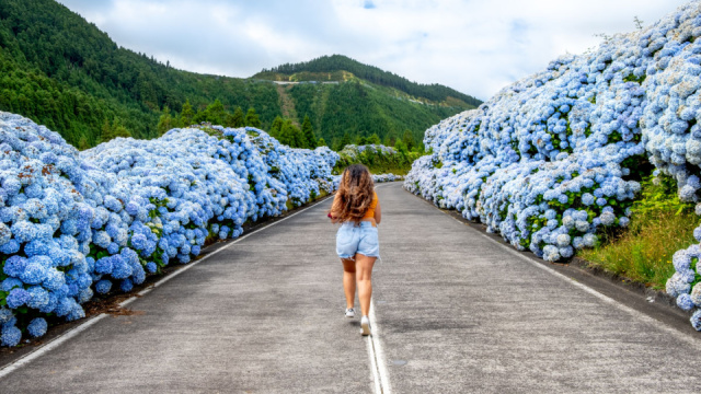AZORI-SZIGETEK – SAO MIGUEL ÉS TERCEIRA