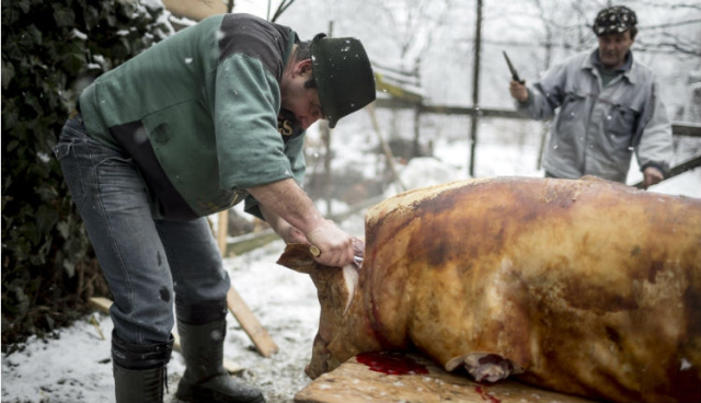 
Tél Erdélyben: Farsangtemetéssel és malacsütéssel
