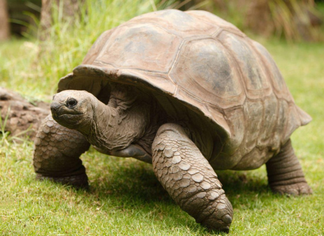
Sao Tomé és Príncipe
