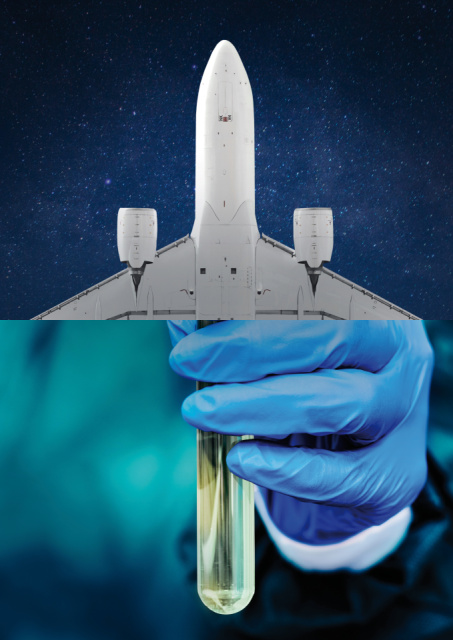 LHG_MCF_Creatives_Visuals_SAF_HiRes_RGB