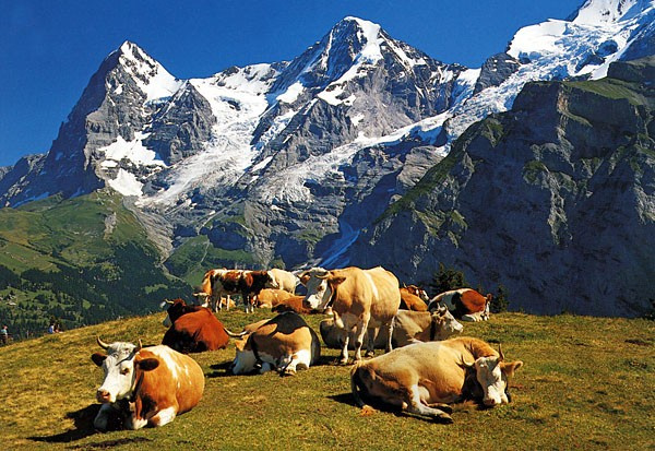 
Svájc az Alpok országa (Észak - , Közép - és Dél - Svájc)
