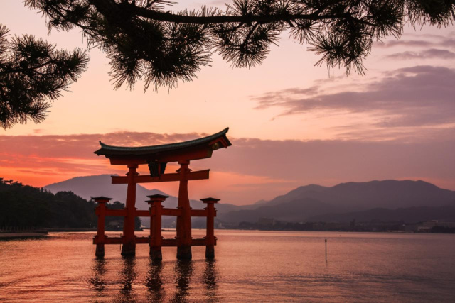 
JAPÁN CSODA CSERESZNYEVIRÁGZÁSKOR
