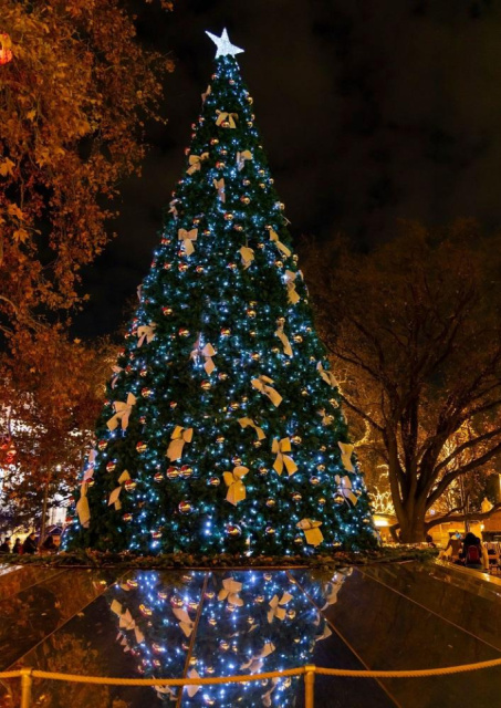 
ADVENTI VARÁZSLAT BÉCSBEN - Adventi ízek és kultúra, adventi koncert Bécs elegáns palotájában
