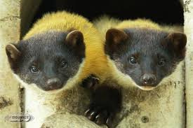 
Látogatás a Bajmóci mesekastélyba, Szlovákia
