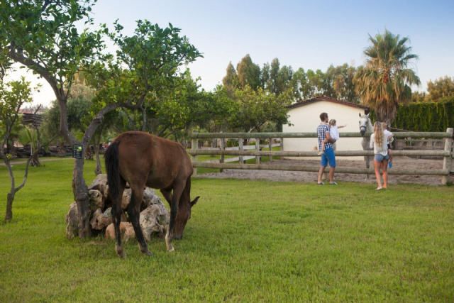 
Club Hotel Turan Prince World
