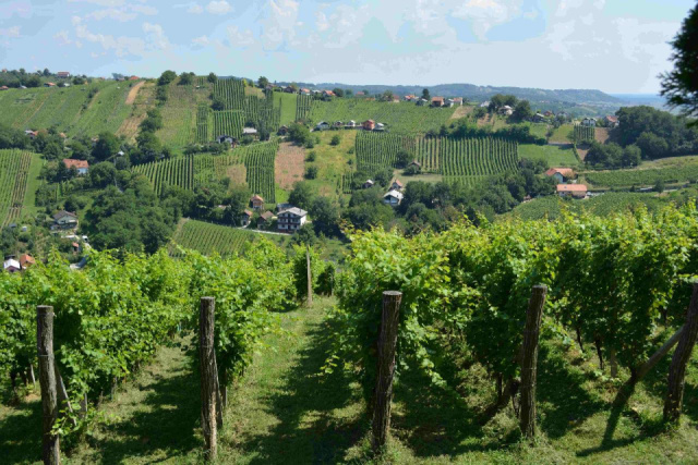 
NŐNAPI MURAVIDÉKI KALANDOK
