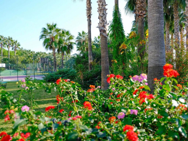 Royal Atlantis Beach Hotel****