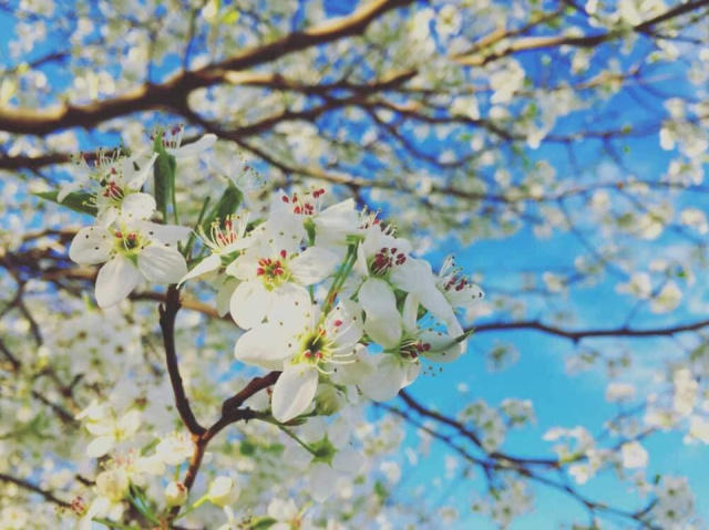 
Húsvét a Krk szigeten Plitvicével
