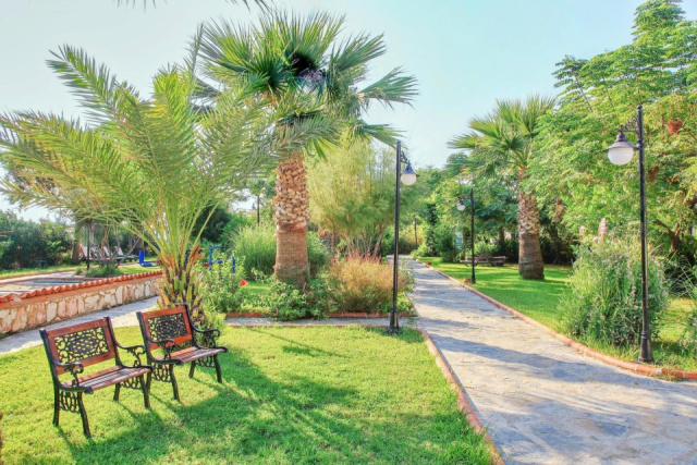 
CLUB CACTUS PARADISE
