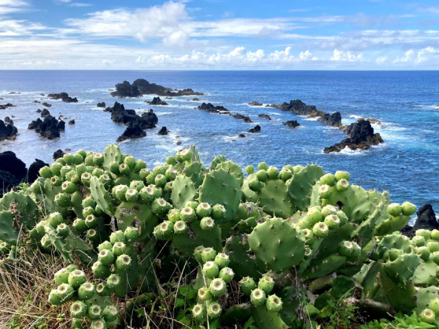 Portugália - Mercure Ponta Delgada Azores**** - Sao Miguel-sziget/Ponta Delgada, Azori-szigetek