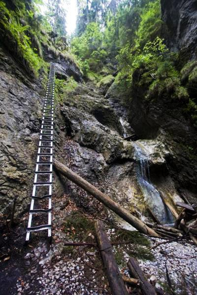 
Suchá Belá szurdok-túra
