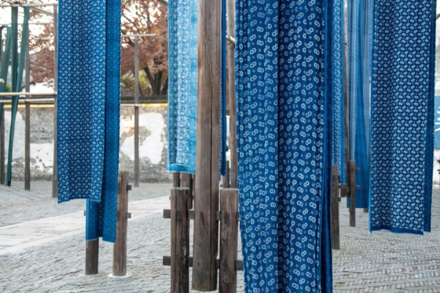 
MEDVEHAGYMASZÜRET A BAKONYBAN
