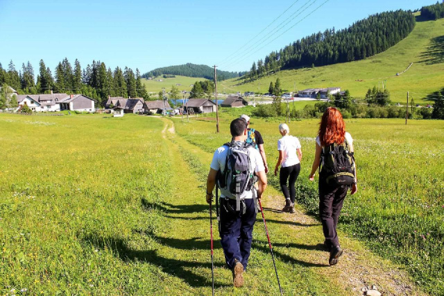 
Egynapos kirándulás a Medve-szurdokba
